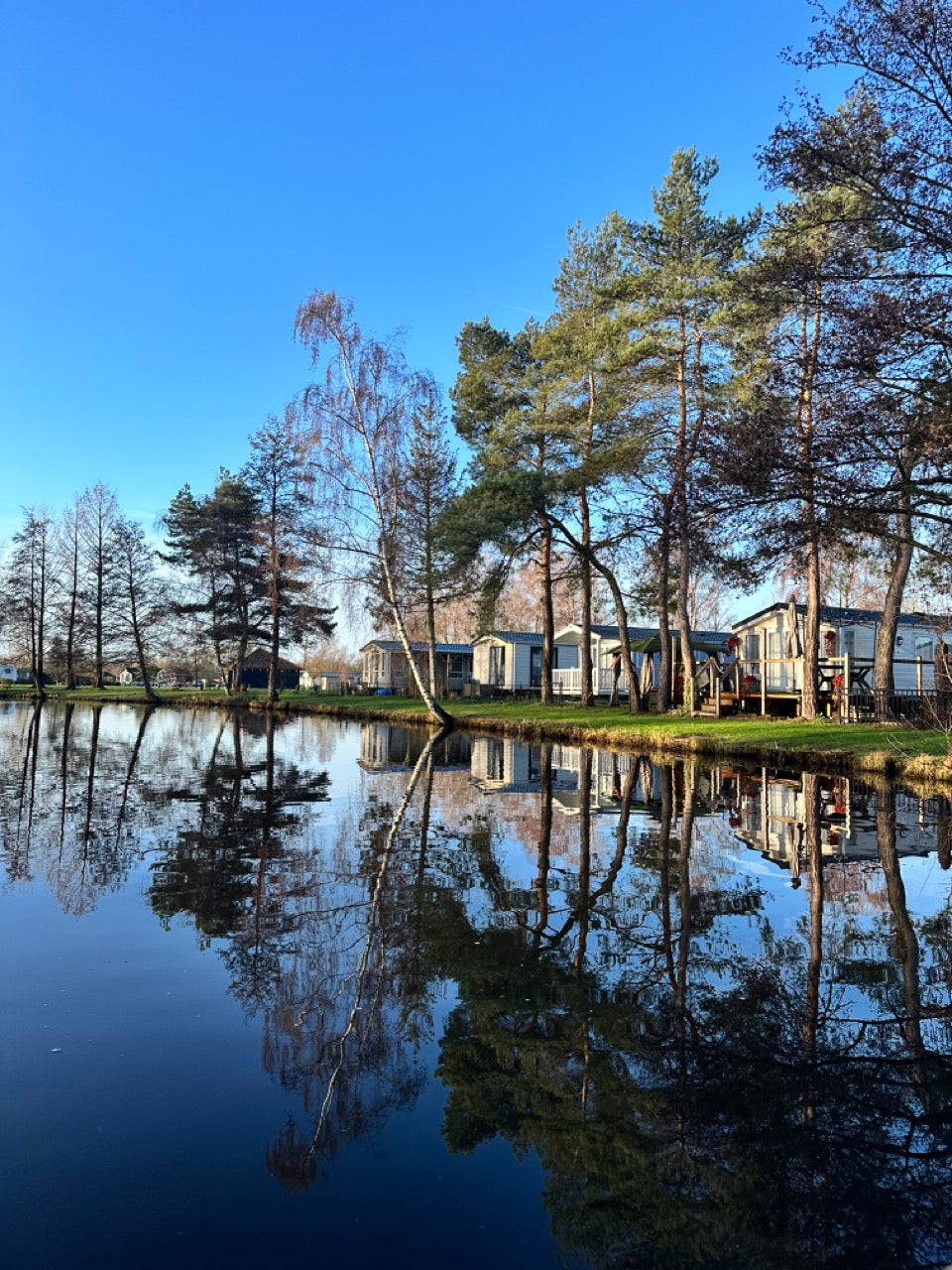 Meer omzet, minder zorgen: hoe moderne stacaravans jouw camping futureproof maken