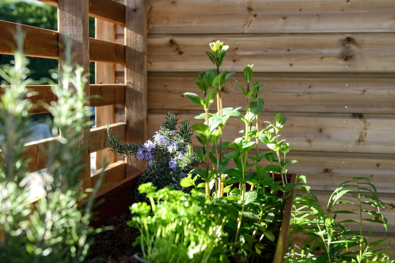 Nieuwe Chalet Sagano Villa 33/2 - 2 slaapkamers - 795x904cm